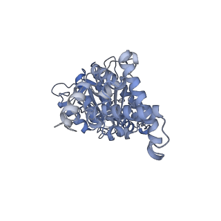 25946_7tjy_D_v1-2
Yeast ATP synthase State 1catalytic(a) without exogenous ATP backbone model