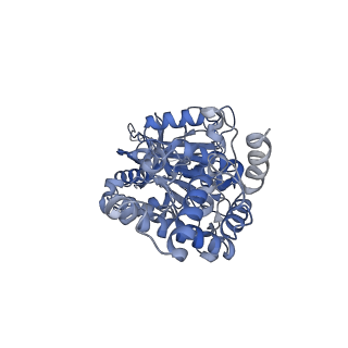 25946_7tjy_E_v1-1
Yeast ATP synthase State 1catalytic(a) without exogenous ATP backbone model