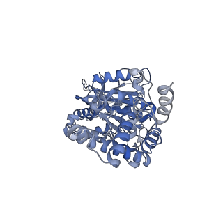 25946_7tjy_E_v1-2
Yeast ATP synthase State 1catalytic(a) without exogenous ATP backbone model