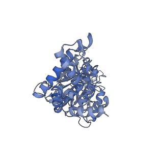 25946_7tjy_F_v1-1
Yeast ATP synthase State 1catalytic(a) without exogenous ATP backbone model