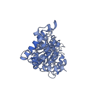 25946_7tjy_F_v1-2
Yeast ATP synthase State 1catalytic(a) without exogenous ATP backbone model