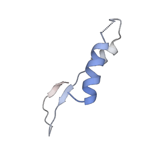 25946_7tjy_I_v1-1
Yeast ATP synthase State 1catalytic(a) without exogenous ATP backbone model
