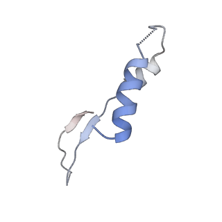 25946_7tjy_I_v1-2
Yeast ATP synthase State 1catalytic(a) without exogenous ATP backbone model