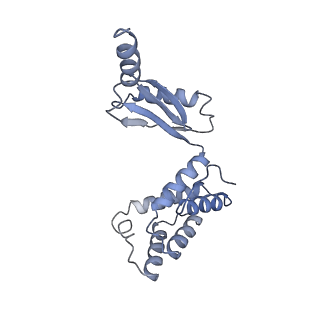 25946_7tjy_O_v1-1
Yeast ATP synthase State 1catalytic(a) without exogenous ATP backbone model