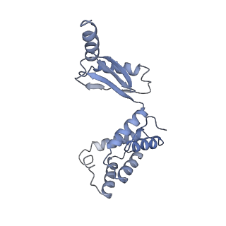 25946_7tjy_O_v1-2
Yeast ATP synthase State 1catalytic(a) without exogenous ATP backbone model