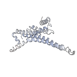 25946_7tjy_T_v1-1
Yeast ATP synthase State 1catalytic(a) without exogenous ATP backbone model
