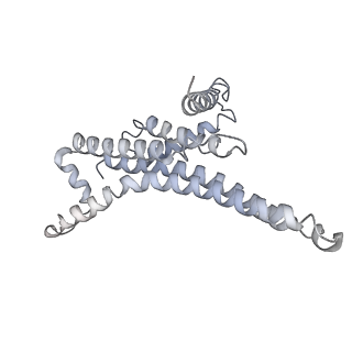 25946_7tjy_T_v1-2
Yeast ATP synthase State 1catalytic(a) without exogenous ATP backbone model