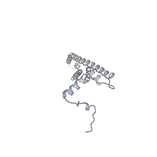 25946_7tjy_V_v1-1
Yeast ATP synthase State 1catalytic(a) without exogenous ATP backbone model