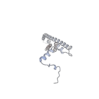 25946_7tjy_V_v1-2
Yeast ATP synthase State 1catalytic(a) without exogenous ATP backbone model