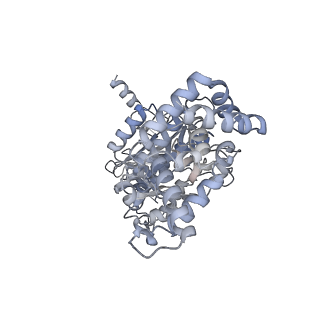 25947_7tjz_A_v1-1
Yeast ATP synthase State 1catalytic(b) without exogenous ATP backbone model