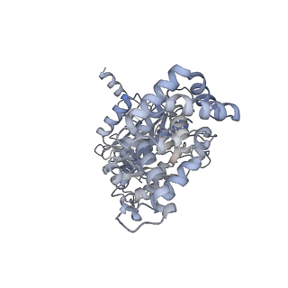 25947_7tjz_A_v1-2
Yeast ATP synthase State 1catalytic(b) without exogenous ATP backbone model