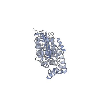 25947_7tjz_B_v1-1
Yeast ATP synthase State 1catalytic(b) without exogenous ATP backbone model