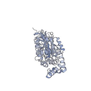 25947_7tjz_B_v1-2
Yeast ATP synthase State 1catalytic(b) without exogenous ATP backbone model