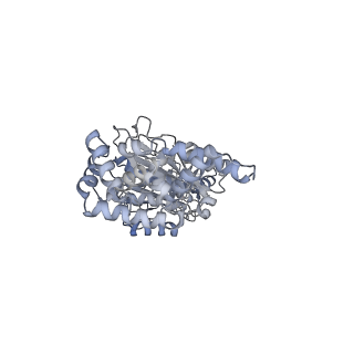 25947_7tjz_C_v1-1
Yeast ATP synthase State 1catalytic(b) without exogenous ATP backbone model