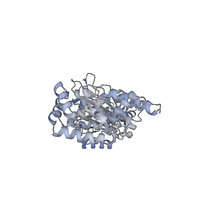 25947_7tjz_C_v1-2
Yeast ATP synthase State 1catalytic(b) without exogenous ATP backbone model