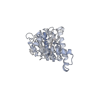 25947_7tjz_D_v1-1
Yeast ATP synthase State 1catalytic(b) without exogenous ATP backbone model