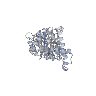 25947_7tjz_D_v1-2
Yeast ATP synthase State 1catalytic(b) without exogenous ATP backbone model