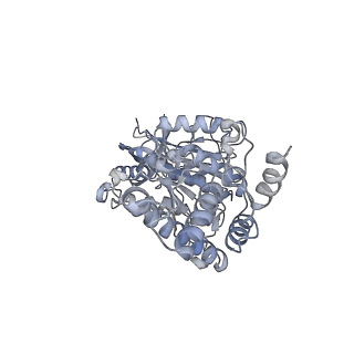 25947_7tjz_E_v1-1
Yeast ATP synthase State 1catalytic(b) without exogenous ATP backbone model