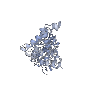 25947_7tjz_F_v1-1
Yeast ATP synthase State 1catalytic(b) without exogenous ATP backbone model