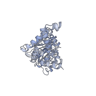 25947_7tjz_F_v1-2
Yeast ATP synthase State 1catalytic(b) without exogenous ATP backbone model