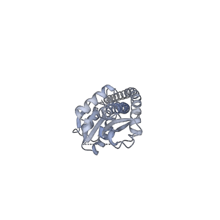 25947_7tjz_G_v1-1
Yeast ATP synthase State 1catalytic(b) without exogenous ATP backbone model