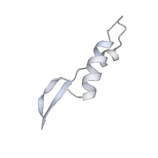 25947_7tjz_I_v1-2
Yeast ATP synthase State 1catalytic(b) without exogenous ATP backbone model