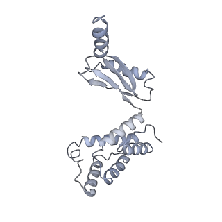 25947_7tjz_O_v1-1
Yeast ATP synthase State 1catalytic(b) without exogenous ATP backbone model
