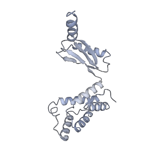 25947_7tjz_O_v1-2
Yeast ATP synthase State 1catalytic(b) without exogenous ATP backbone model