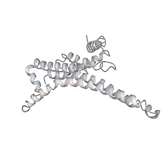 25947_7tjz_T_v1-2
Yeast ATP synthase State 1catalytic(b) without exogenous ATP backbone model