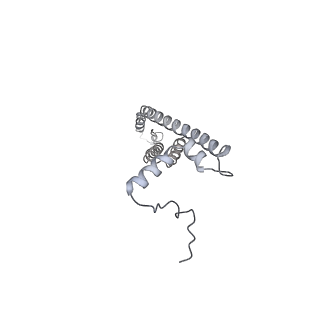 25947_7tjz_V_v1-1
Yeast ATP synthase State 1catalytic(b) without exogenous ATP backbone model