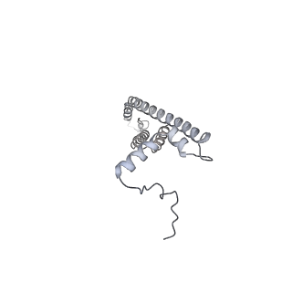 25947_7tjz_V_v1-2
Yeast ATP synthase State 1catalytic(b) without exogenous ATP backbone model