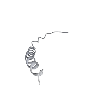 25947_7tjz_Y_v1-2
Yeast ATP synthase State 1catalytic(b) without exogenous ATP backbone model