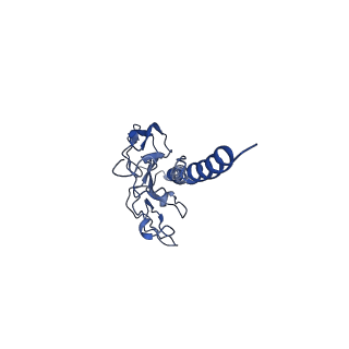 41298_8tj2_D_v1-0
CryoEM structure of Myxococcus xanthus type IV pilus