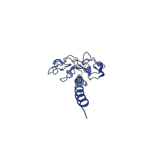 41298_8tj2_E_v1-0
CryoEM structure of Myxococcus xanthus type IV pilus