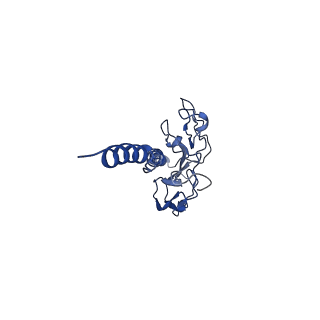 41298_8tj2_F_v1-0
CryoEM structure of Myxococcus xanthus type IV pilus