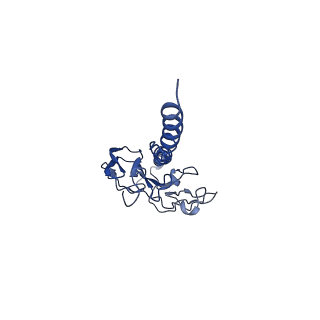 41298_8tj2_G_v1-0
CryoEM structure of Myxococcus xanthus type IV pilus