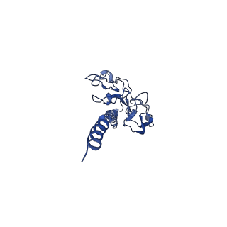 41298_8tj2_I_v1-0
CryoEM structure of Myxococcus xanthus type IV pilus