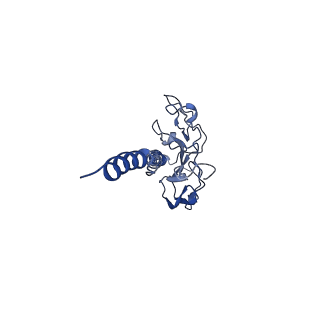 41298_8tj2_L_v1-0
CryoEM structure of Myxococcus xanthus type IV pilus