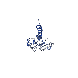 41298_8tj2_M_v1-0
CryoEM structure of Myxococcus xanthus type IV pilus