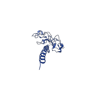 41298_8tj2_O_v1-0
CryoEM structure of Myxococcus xanthus type IV pilus