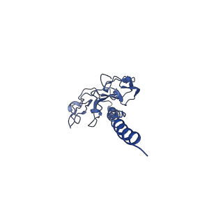 41298_8tj2_R_v1-0
CryoEM structure of Myxococcus xanthus type IV pilus