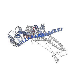 8409_5tj5_A_v1-5
Atomic model for the membrane-embedded motor of a eukaryotic V-ATPase
