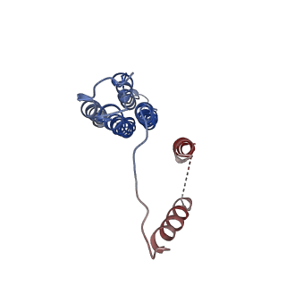 8409_5tj5_B_v1-5
Atomic model for the membrane-embedded motor of a eukaryotic V-ATPase