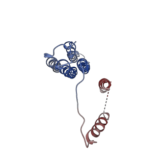 8409_5tj5_B_v1-6
Atomic model for the membrane-embedded motor of a eukaryotic V-ATPase