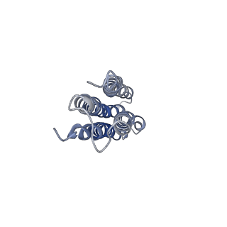 8409_5tj5_I_v1-5
Atomic model for the membrane-embedded motor of a eukaryotic V-ATPase