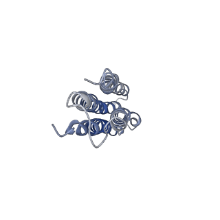 8409_5tj5_I_v1-6
Atomic model for the membrane-embedded motor of a eukaryotic V-ATPase