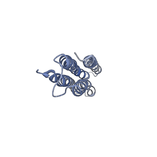 8409_5tj5_J_v1-6
Atomic model for the membrane-embedded motor of a eukaryotic V-ATPase