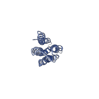 8409_5tj5_M_v1-6
Atomic model for the membrane-embedded motor of a eukaryotic V-ATPase