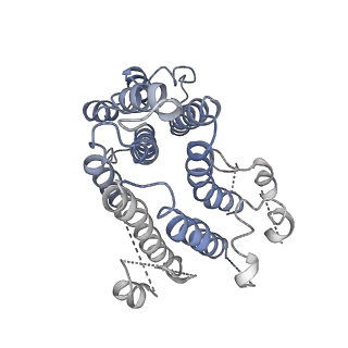 8409_5tj5_P_v1-5
Atomic model for the membrane-embedded motor of a eukaryotic V-ATPase