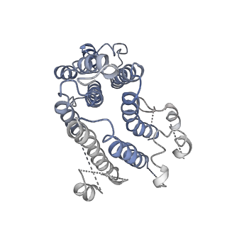 8409_5tj5_P_v1-6
Atomic model for the membrane-embedded motor of a eukaryotic V-ATPase